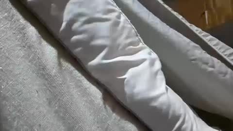 countrymommy stream preview