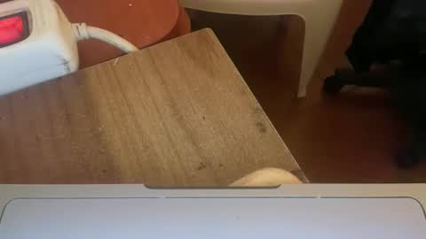 couple_dirty458079 live stream