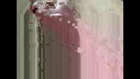 craigs541 live stream