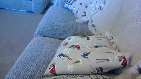 crhsmith live stream