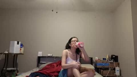 crownandkat stream preview