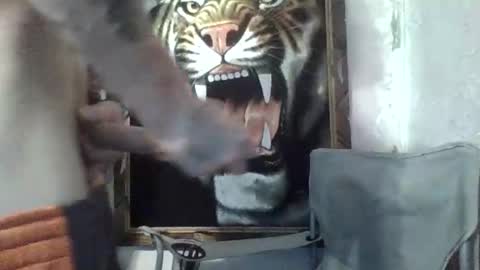 cum4me41986 stream preview