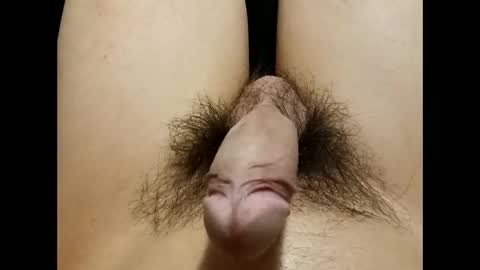 cummybb00 stream preview