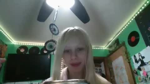 cutestcatforever stream preview