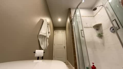 d1pandr1p stream preview