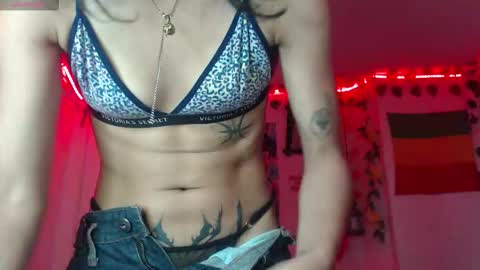 dakkohott stream preview