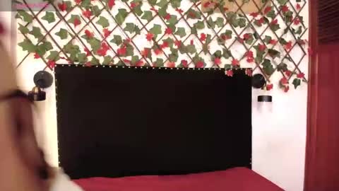 dakotarouse1 stream preview