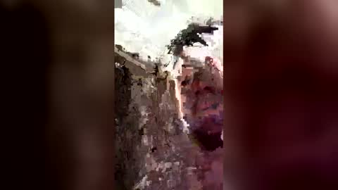 dandj0397 stream preview