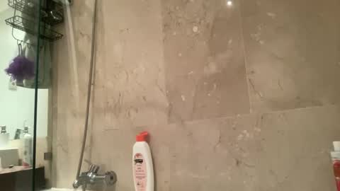 dani2708 stream preview