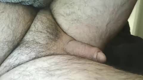 dapppper live stream