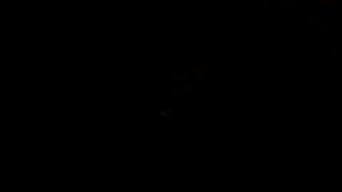 david1100 stream preview