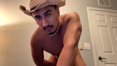 dcb258933 live stream