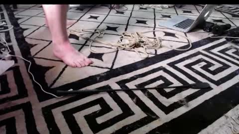 ddsubby stream preview