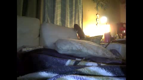 debraglen stream preview