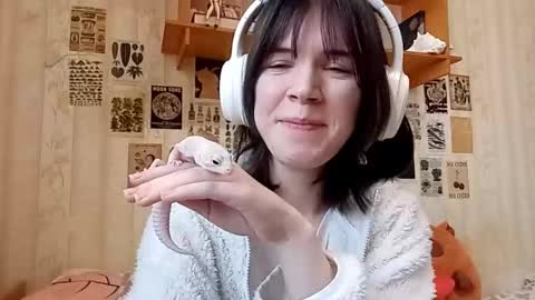 debraswank stream preview