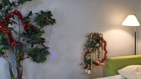 dedracalamity stream preview