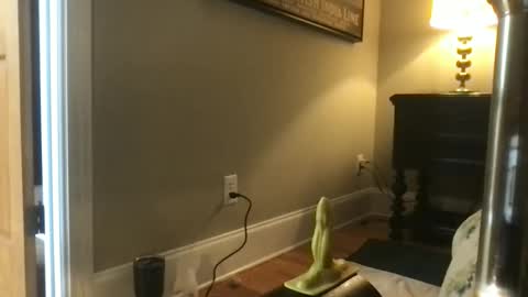 divinehips stream preview