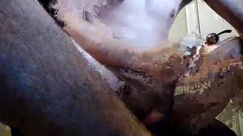 doghouse77 stream preview