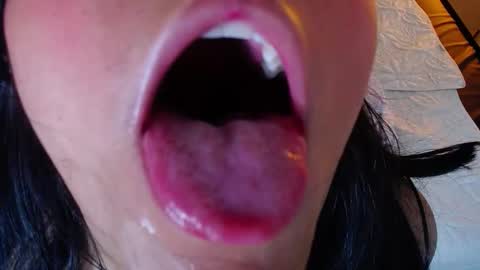 dollywood_ stream preview