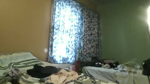 draingoddessanika stream preview