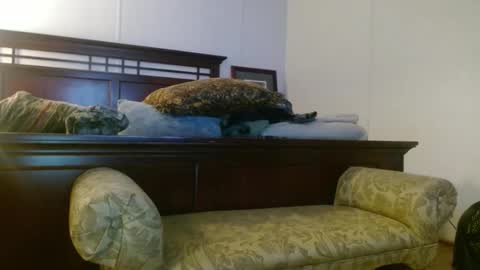 drdown960281232 stream preview