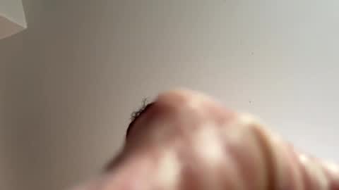 drip7 stream preview