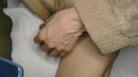 dtanlinh135 stream preview