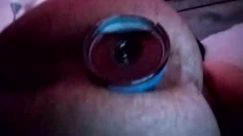 dylanleed21 stream preview