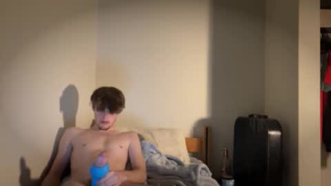 dylanpicklepie stream preview