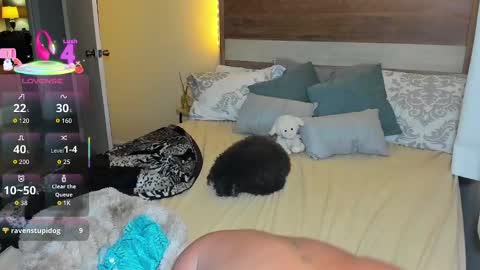 elibambie stream preview