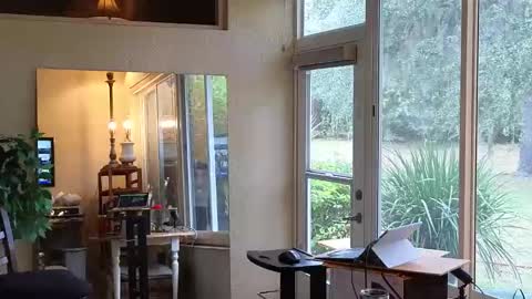 eliberator stream preview