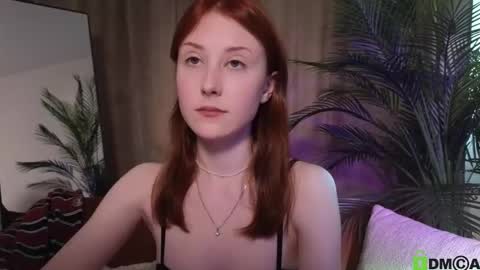 eva_wildrose live stream