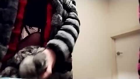 evesimmons live stream