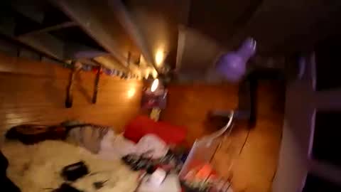 evpierce live stream