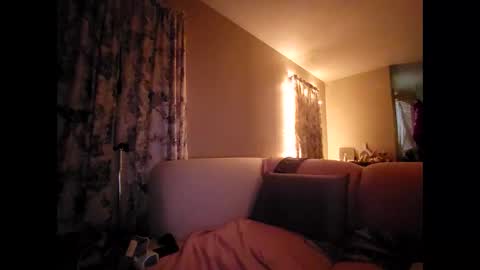 faberini live stream