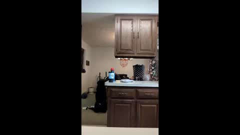 falcn2001 stream preview