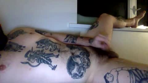 feilds28 live stream