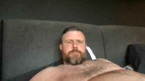 fin_dom_bear stream preview