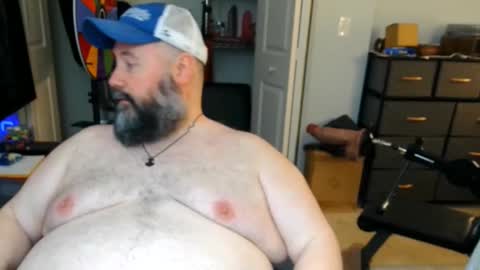 floridabearx live stream