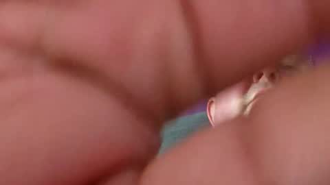 focusfuker stream preview