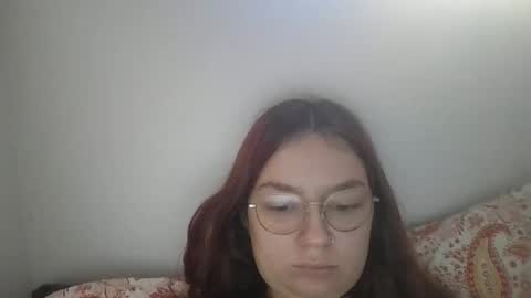 forestpet12 stream preview