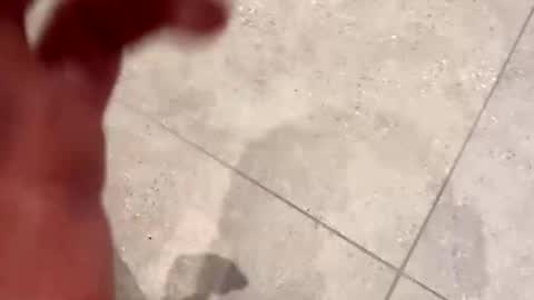 frinkkozz stream preview