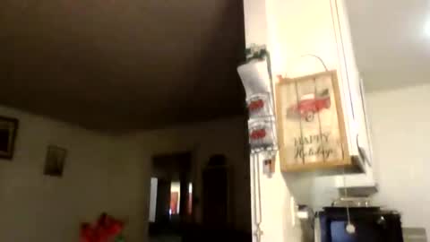 gangdrewski live stream