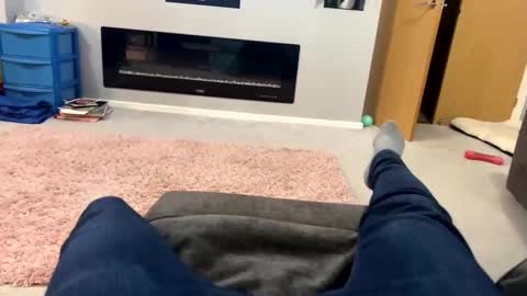 gav6977 stream preview