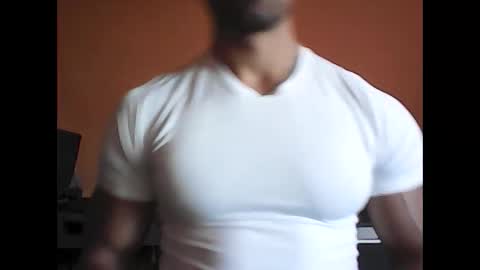 gecko946915 stream preview