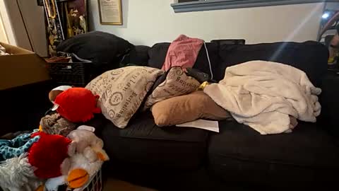 gg254968 stream preview