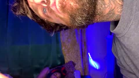 giaferrari stream preview