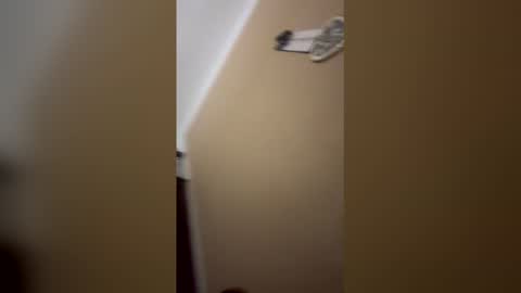 gingaaale live stream