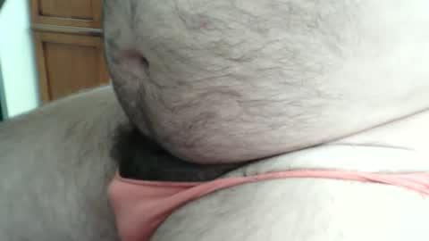 hairybeary1 stream preview