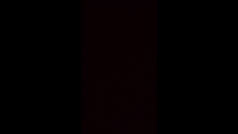 halo3489 live stream